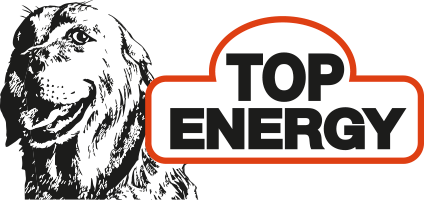 Top Energy Dog